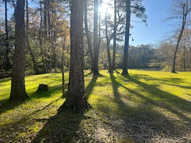 $275,000 | 51 Mendel Court, Round O, SC 29474