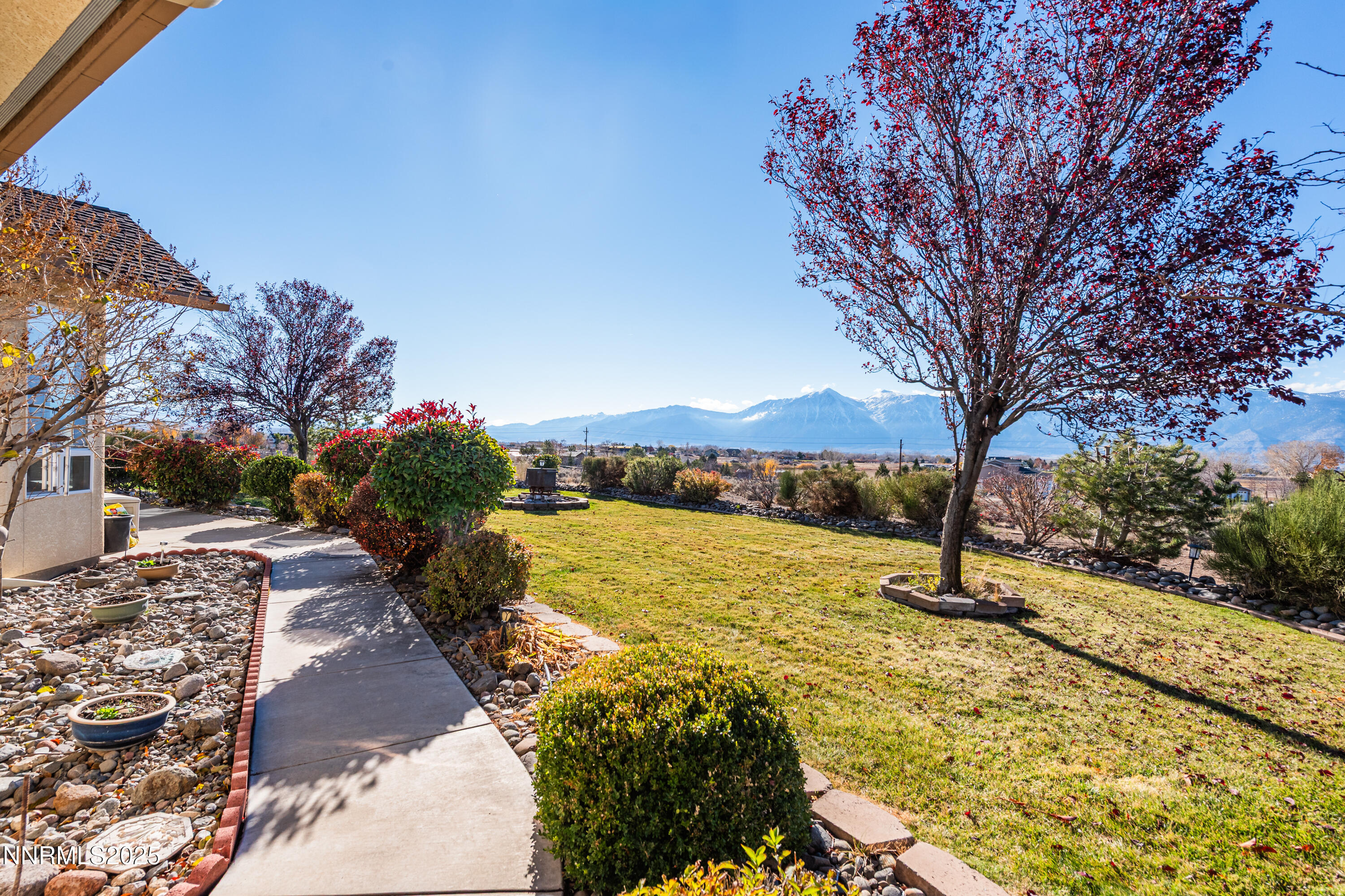 1572 Sawmill Road Gardnerville, NV 89410 - Photo 34 of 43 a view of a backyard with plants and lake view