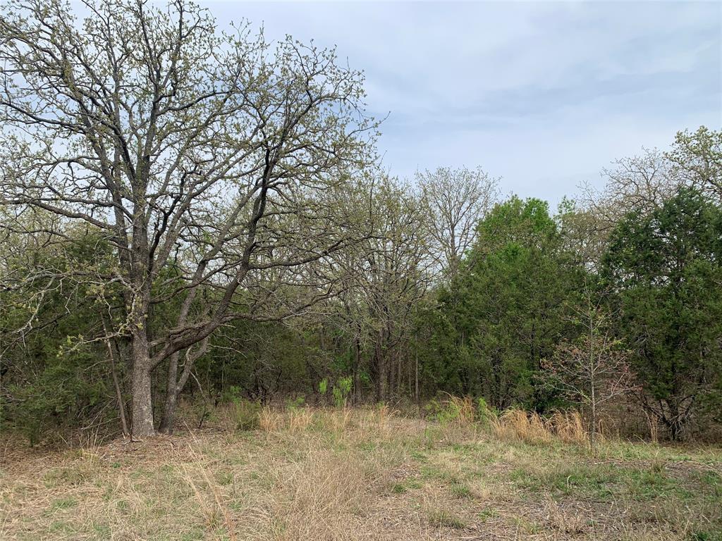 1039 Creek Crossing Road Nemo, TX 76070 - Photo 18 of 27 a view of a yard with large trees
