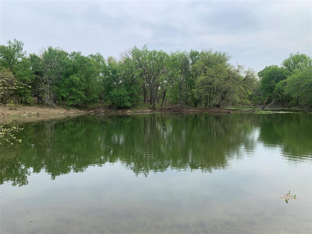 1039 Creek Crossing Road Nemo, TX 76070 - Photo 19 of 27 a view of lake