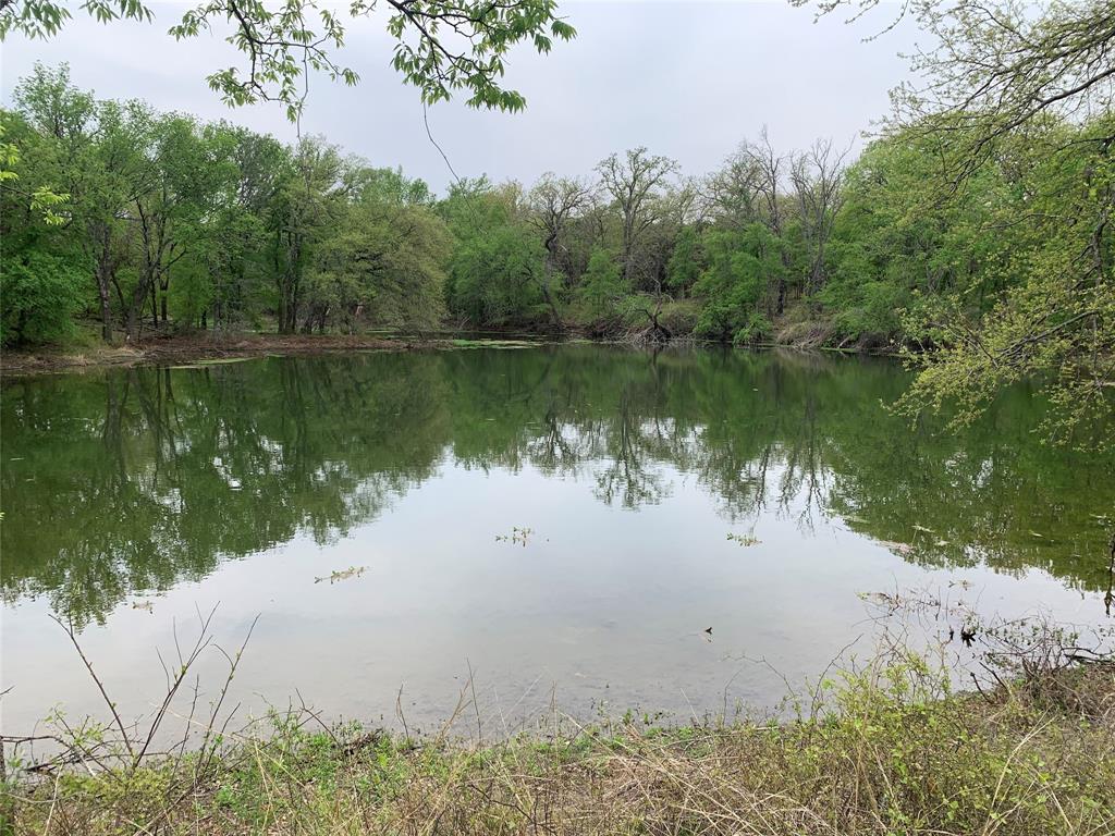 1039 Creek Crossing Road Nemo, TX 76070 - Photo 21 of 27 a view of a lake