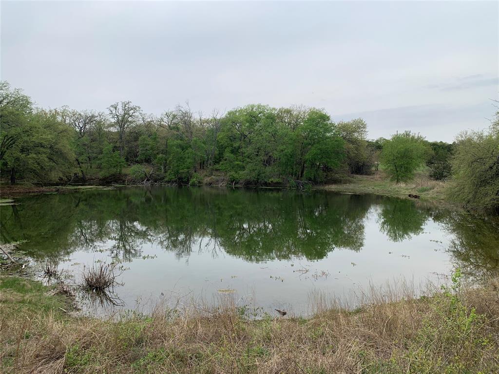 1039 Creek Crossing Road Nemo, TX 76070 - Photo 22 of 27 a view of a lake from a yard