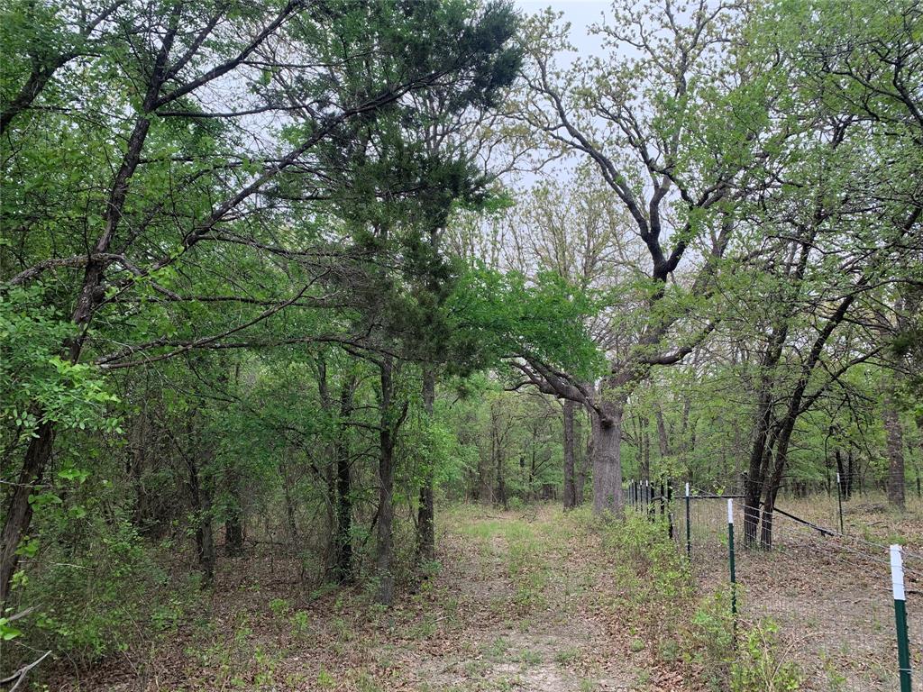 1039 Creek Crossing Road Nemo, TX 76070 - Photo 23 of 27 a view of a forest filled with trees