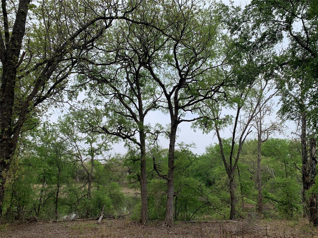 1039 Creek Crossing Road Nemo, TX 76070 - Photo 24 of 27 a view of forest
