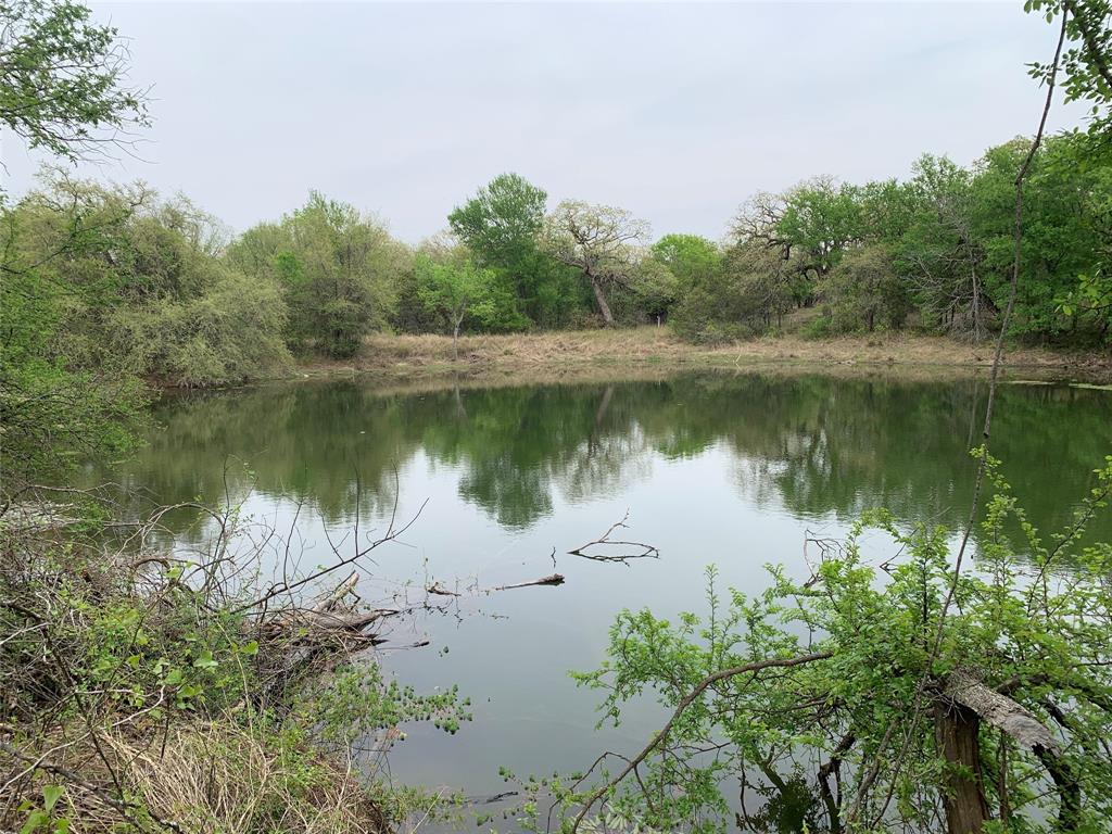 1039 Creek Crossing Road Nemo, TX 76070 - Photo 25 of 27 a body of water with a tree in the background