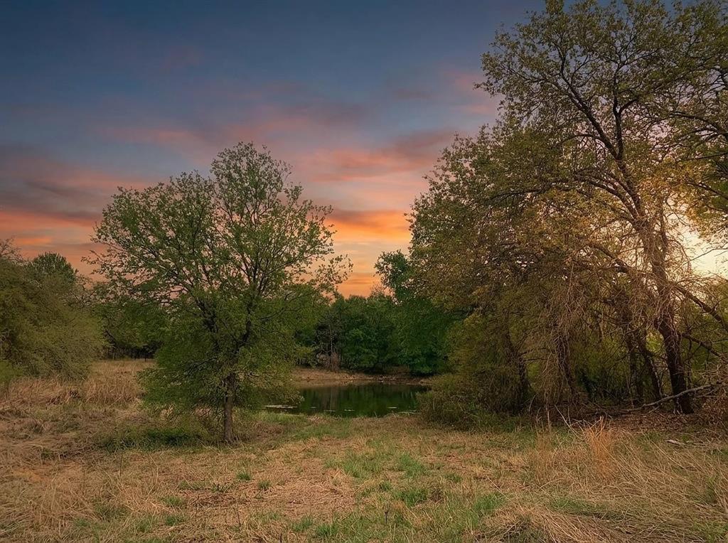 1039 Creek Crossing Road Nemo, TX 76070 - Photo 5 of 27 a view of lake with green space