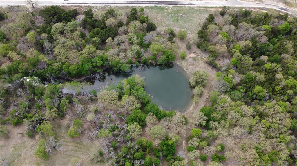 1039 Creek Crossing Road Nemo, TX 76070 - Photo 10 of 27 a view of a lake with a forest