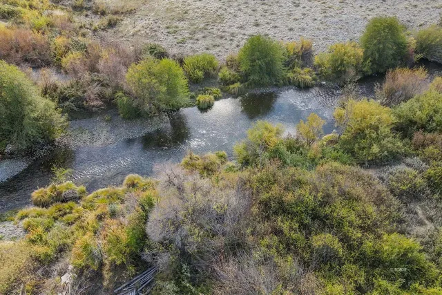 a view of a lake with lots of trees