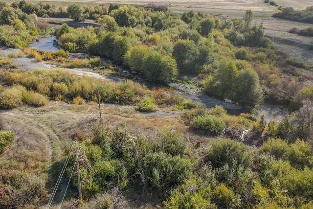a view of a forest with a yard
