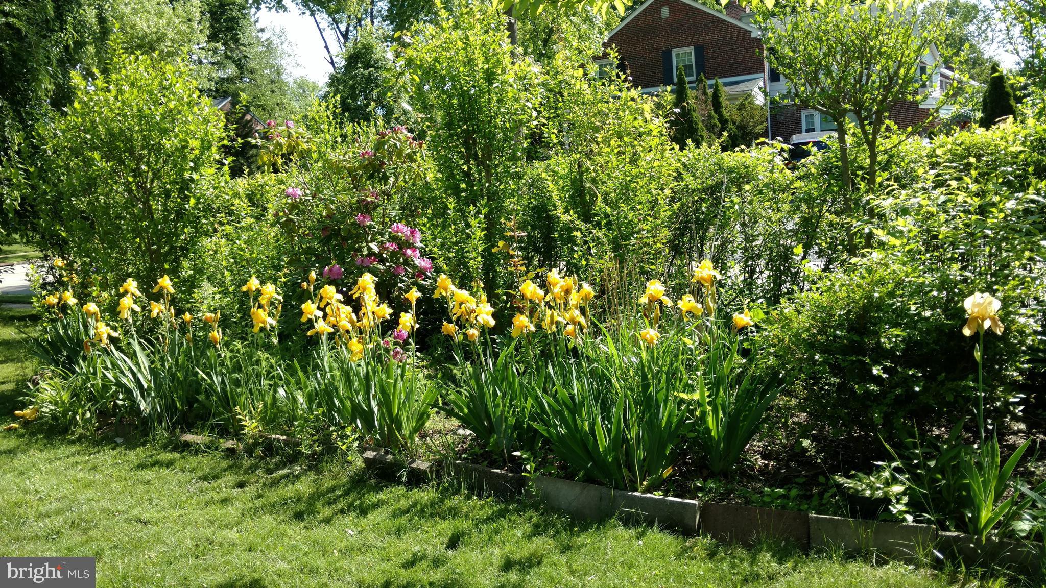 625 Haverford Road Ardmore, PA 19003 - Photo 3 of 51 garden