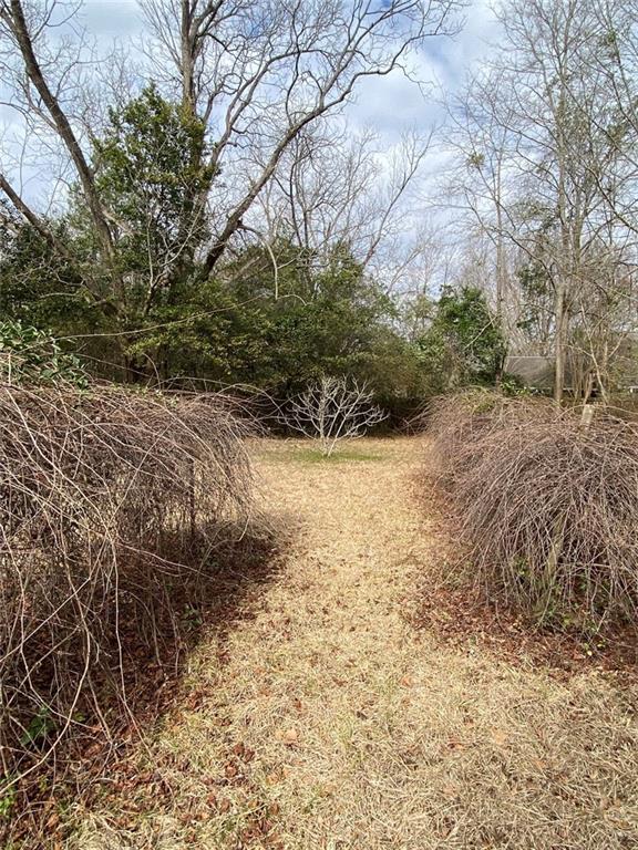320 Old Perry Road Marshallville, GA 31057 - Photo 16 of 70 a view of a yard with plants and trees