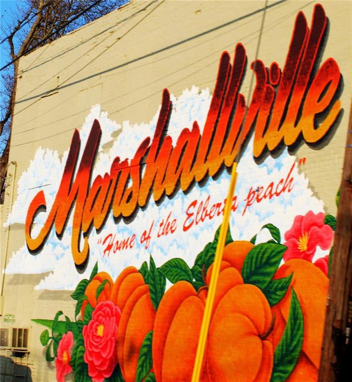 320 Old Perry Road Marshallville, GA 31057 - Photo 70 of 70 a view of up room