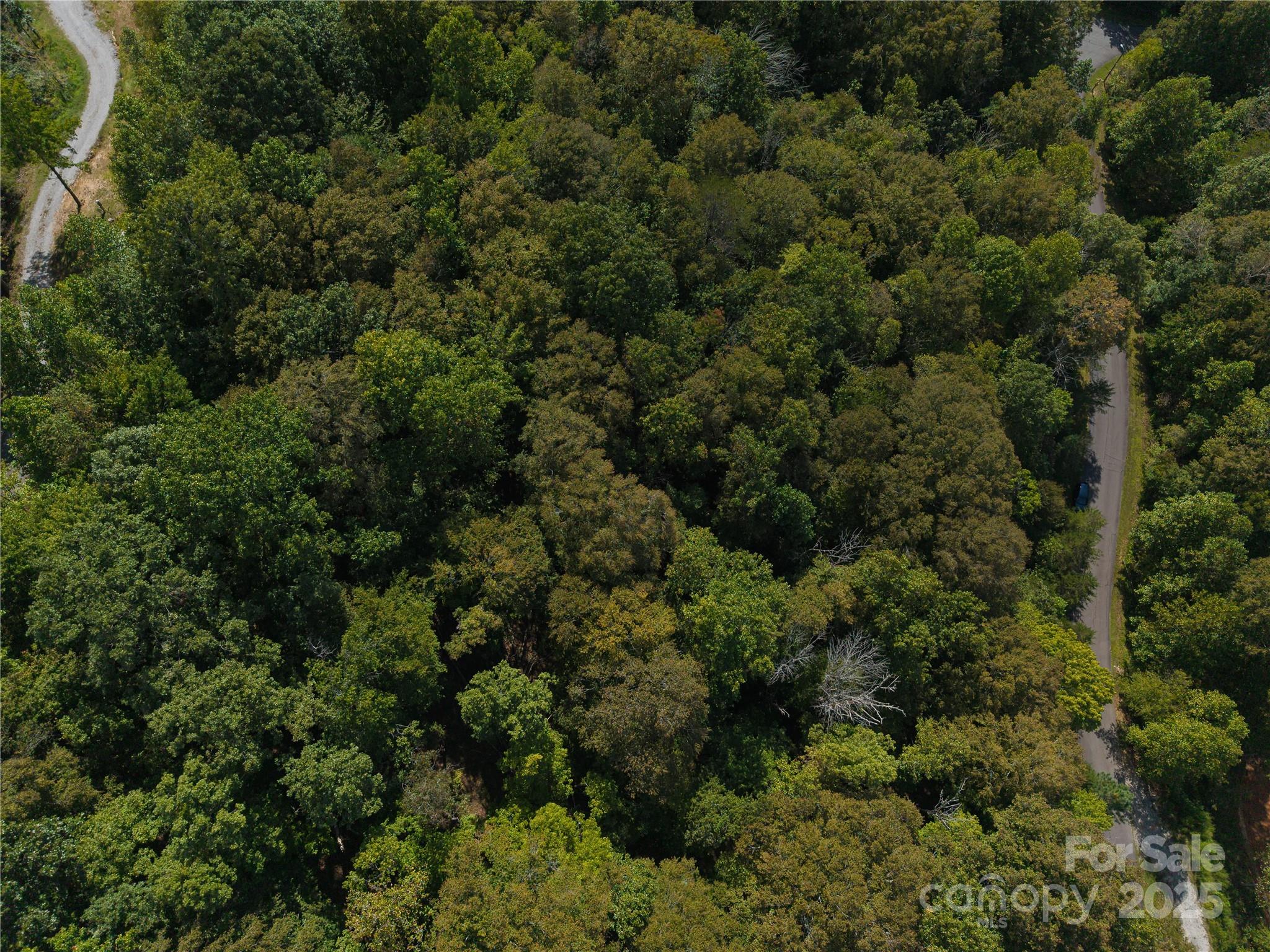 0 Creekside Circle, Unit 135 Rutherfordton, NC 28139 - Photo 4 of 7 an aerial view of a house with a yard