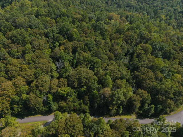 an aerial view of residential house with outdoor space and trees all around