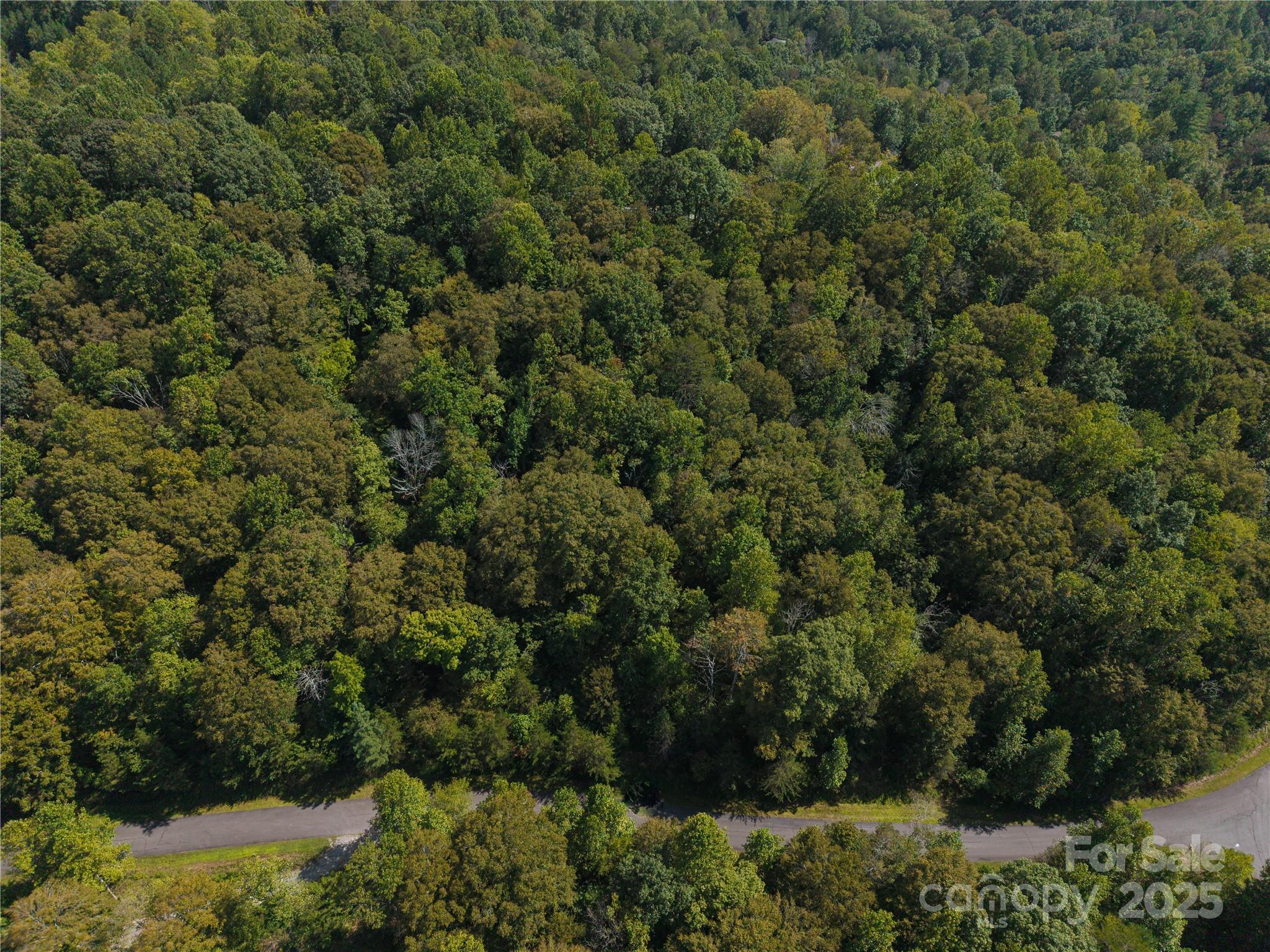 0 Creekside Circle, Unit 135 Rutherfordton, NC 28139 - Photo 6 of 7 an aerial view of residential house with outdoor space and trees all around