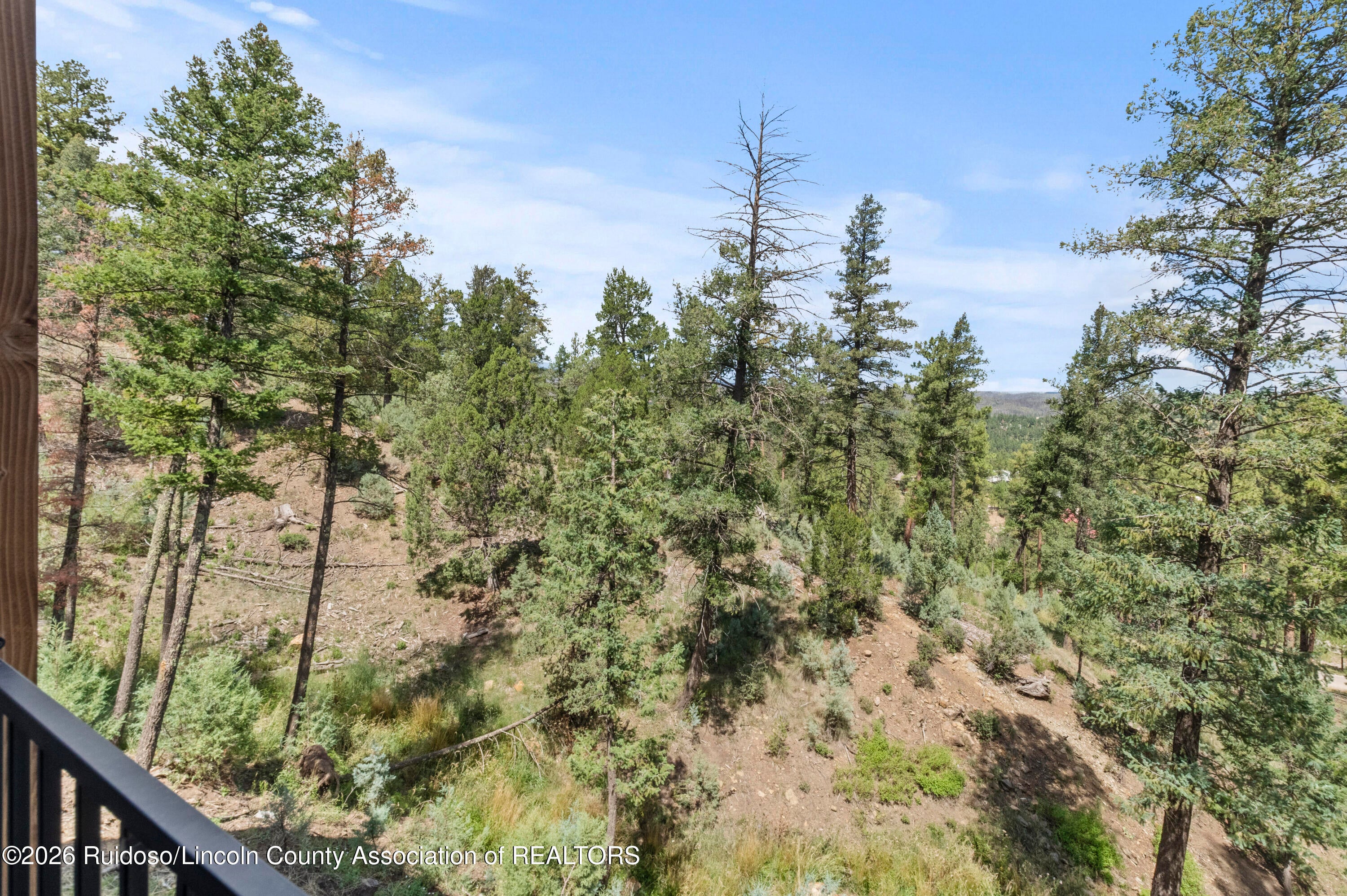 204 Mountain High Circle Ruidoso, NM 88345 - Photo 113 of 120 Gallery Image 113
