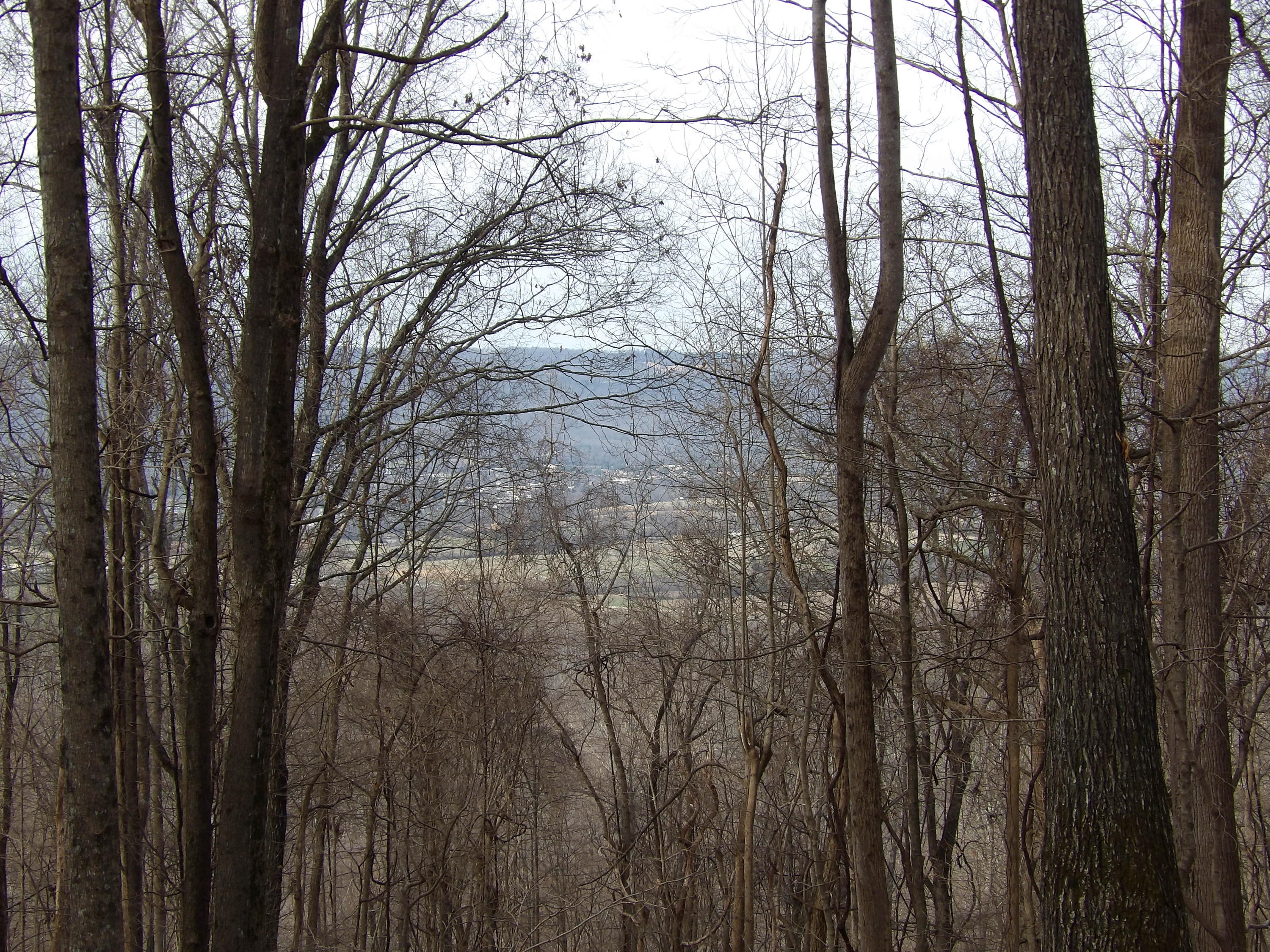 5 Fox Ridge Road, Unit 94 Pikeville, TN 37367 - Photo 3 of 11 100_0530