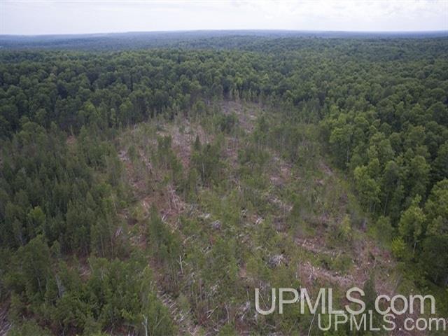 40-acres Co Rd 467 Germfask, MI 49836 - Photo 8 of 22