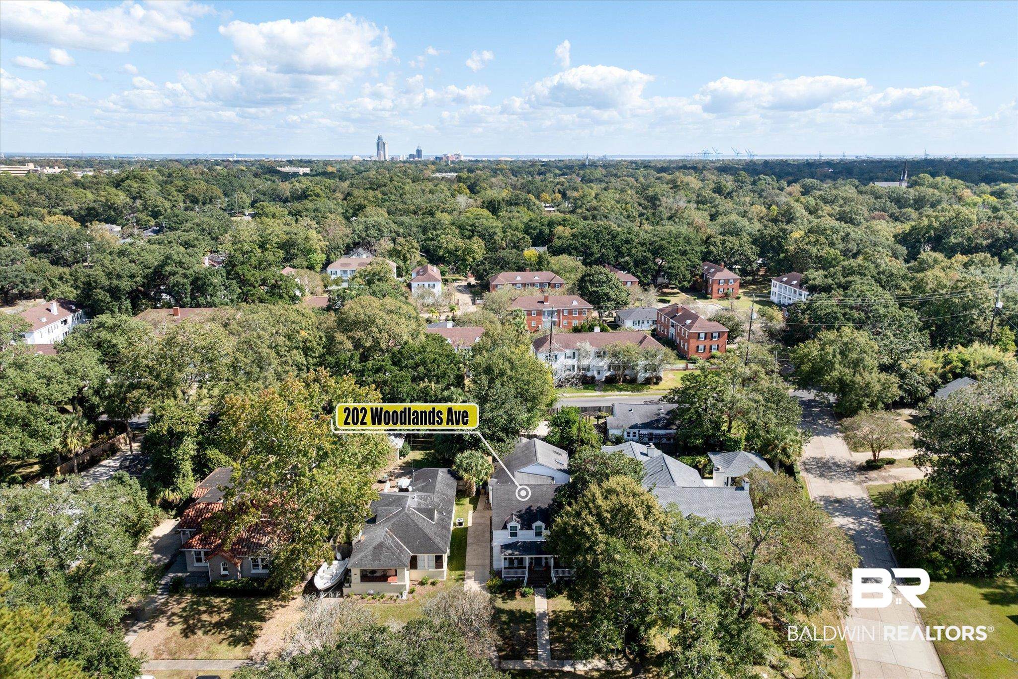 202 Woodlands Avenue Mobile, AL 36607 - Photo 45 of 53 Aerial view