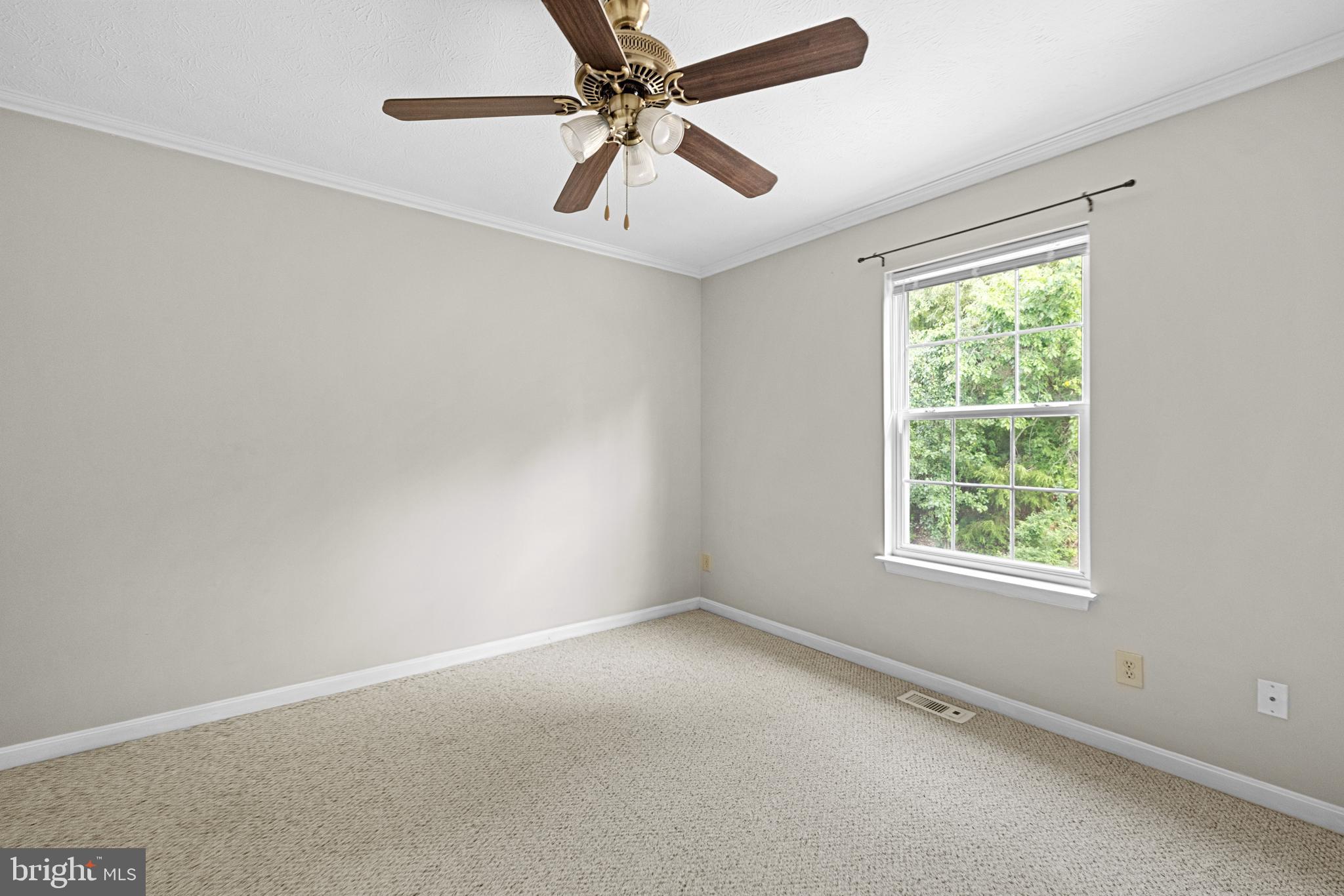 505 Ridgefield Avenue Stephens City, VA 22655 - Photo 15 of 30
