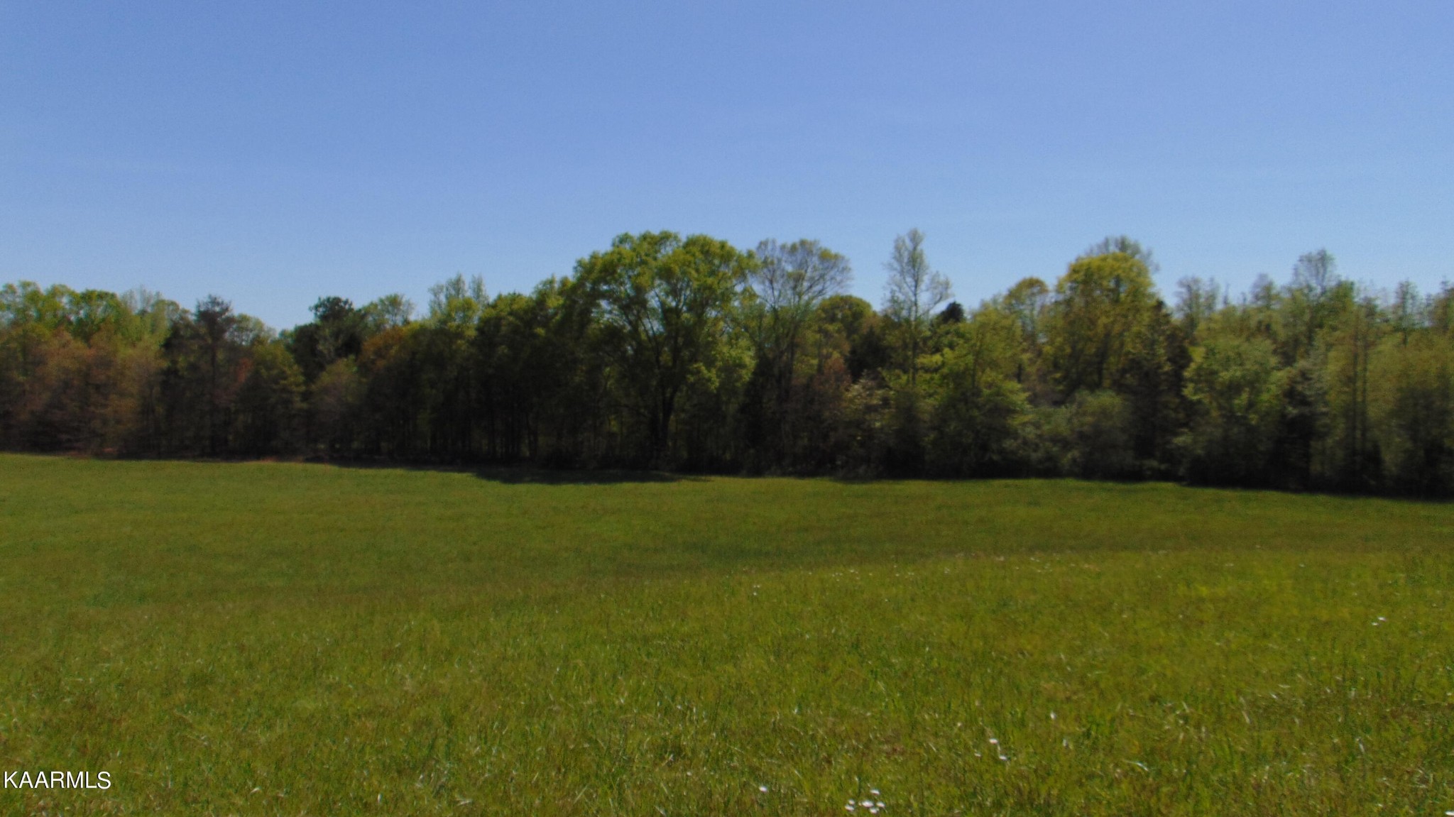 2 Euchee Road Ten Mile, TN 37880 - Photo 5 of 26