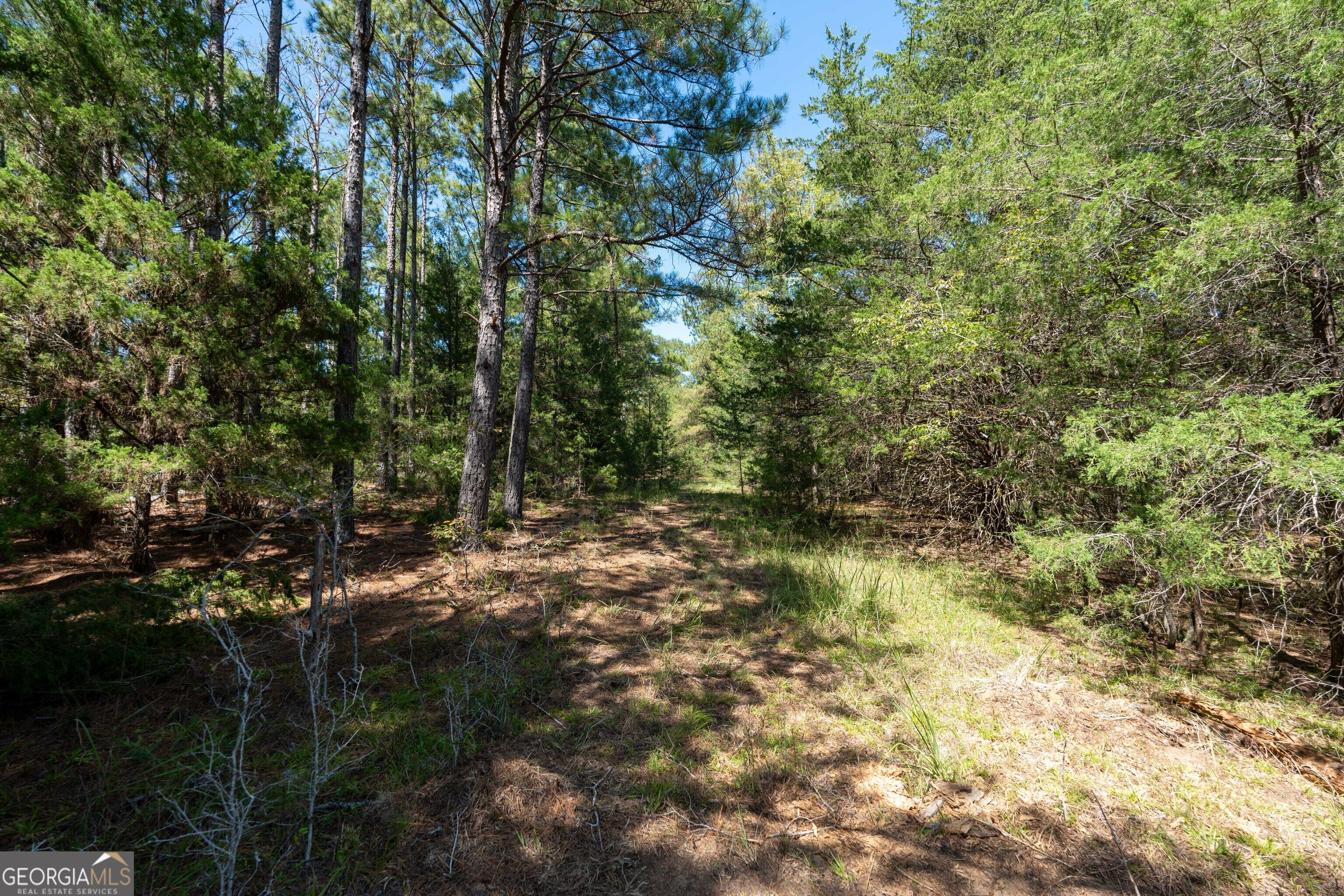 1419 Bobby Brown State Park Road Elberton, GA 30635 - Photo 86 of 90 Gallery Image 86
