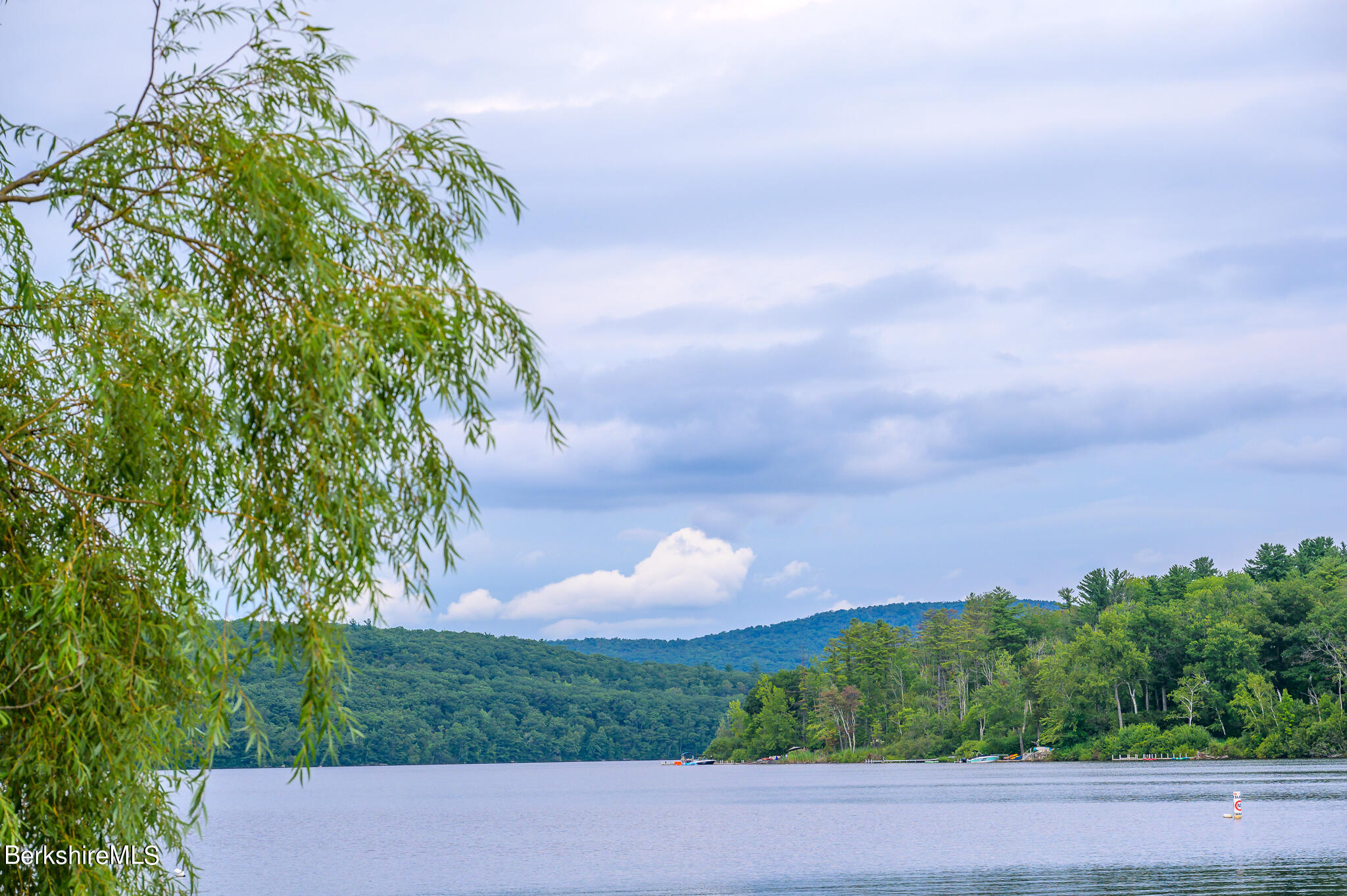 29 Lakeside Drive Tyringham, MA 01238 - Photo 28 of 31 a view of a yard and an trees in the background