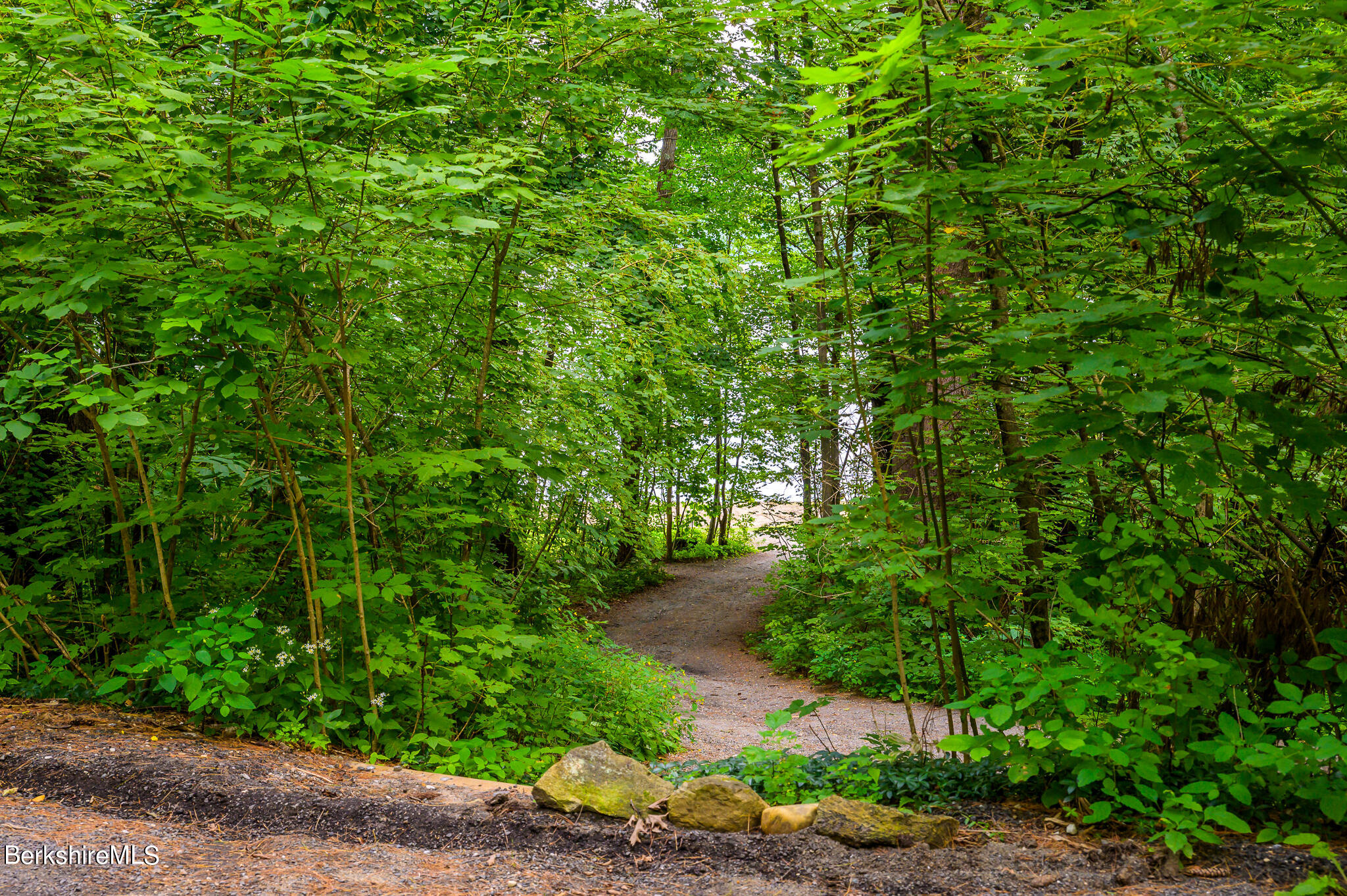 29 Lakeside Drive Tyringham, MA 01238 - Photo 3 of 31 a backyard of a house with lots of green space