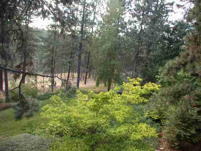 4318 South Ball Road Veradale, WA 99037 - Photo 9 of 9