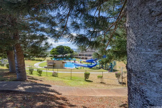 a view of a yard with plants