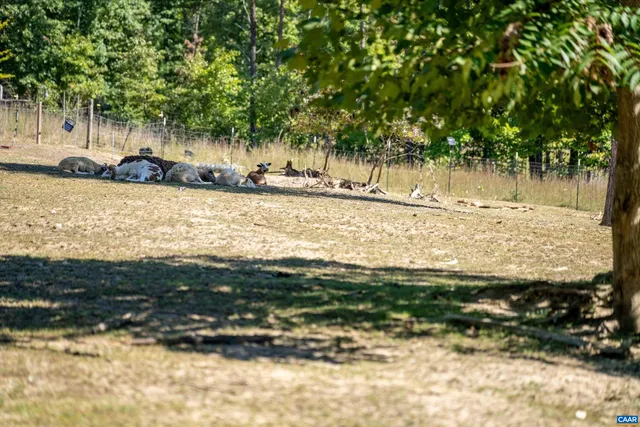 $559,900 | 1889 Pond Road, Buckingham, VA 23921