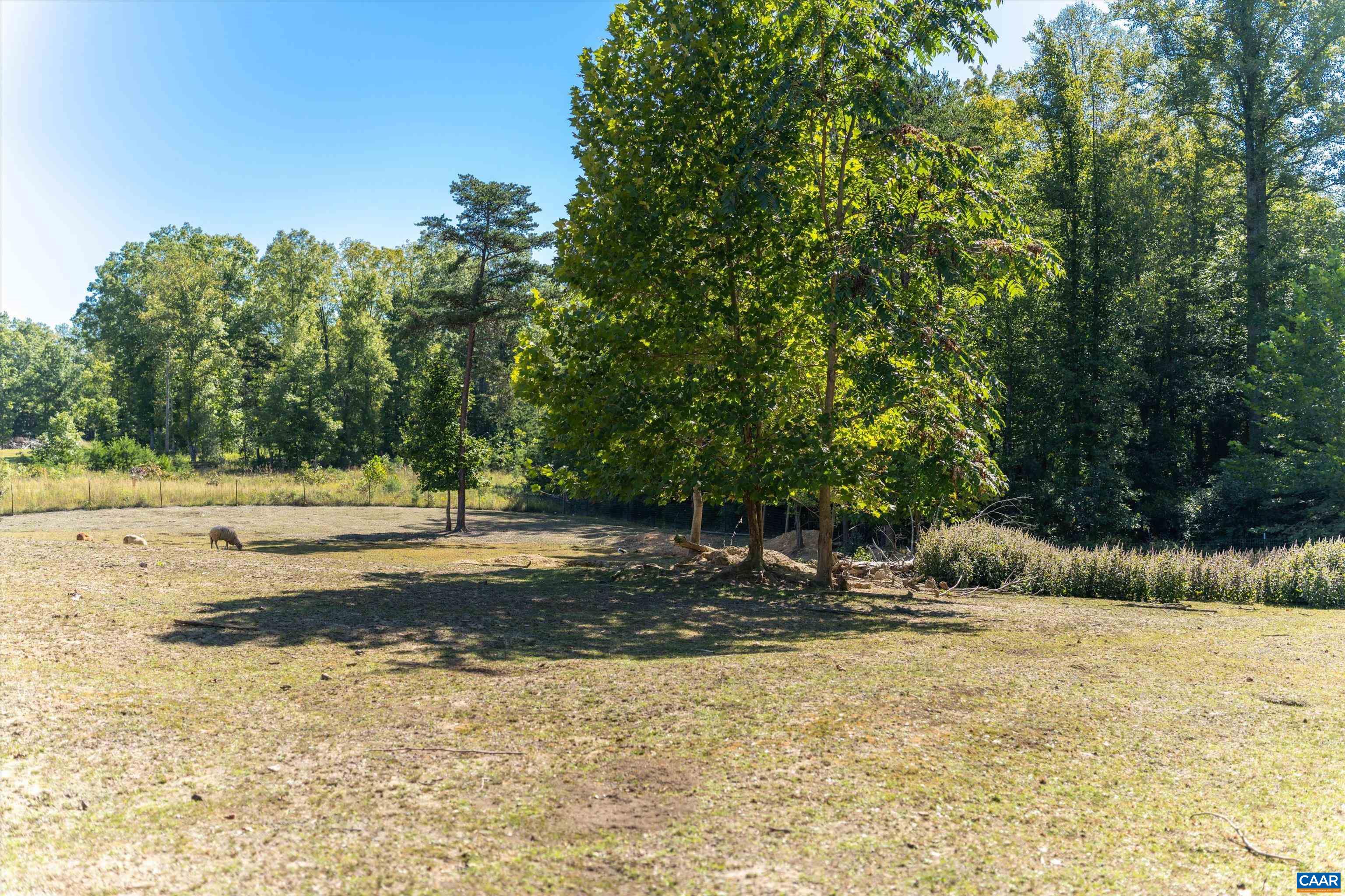 1889 Pond Road Buckingham, VA 23921 - Photo 49 of 57