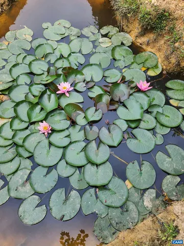 $559,900 | 1889 Pond Road, Buckingham, VA 23921