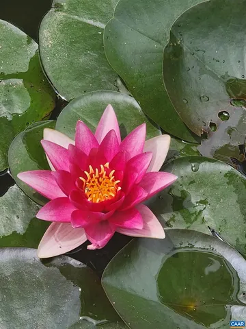 $559,900 | 1889 Pond Road, Buckingham, VA 23921