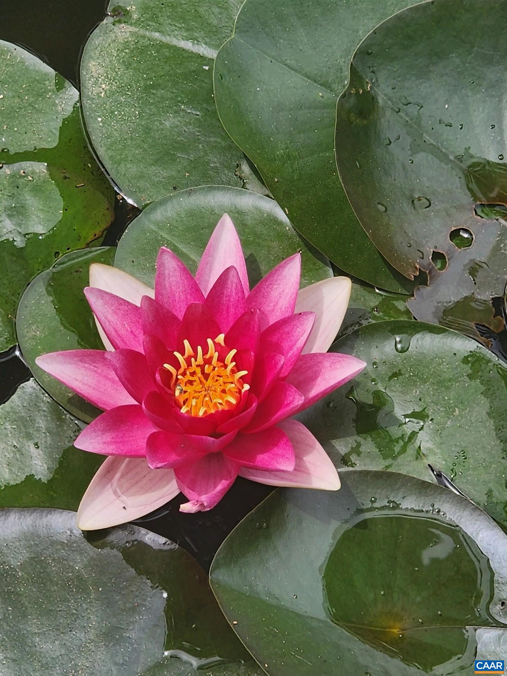 1889 Pond Road Buckingham, VA 23921 - Photo 53 of 57