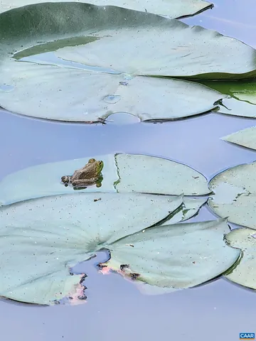 $559,900 | 1889 Pond Road, Buckingham, VA 23921