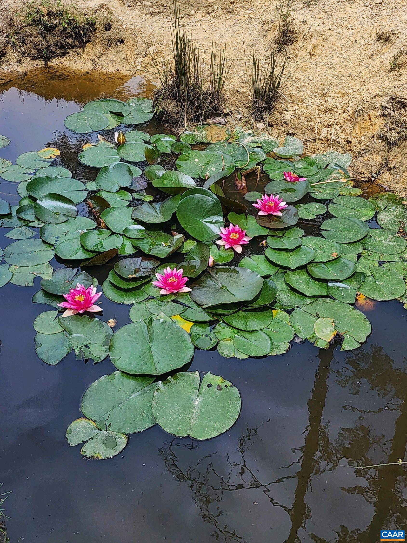 1889 Pond Road Buckingham, VA 23921 - Photo 56 of 57