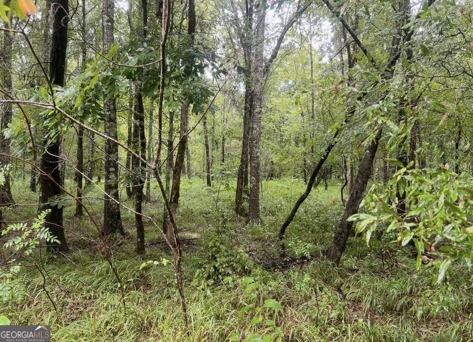 3 Smith Rocky Branch Road Carlton, GA 30627 - Photo 11 of 13