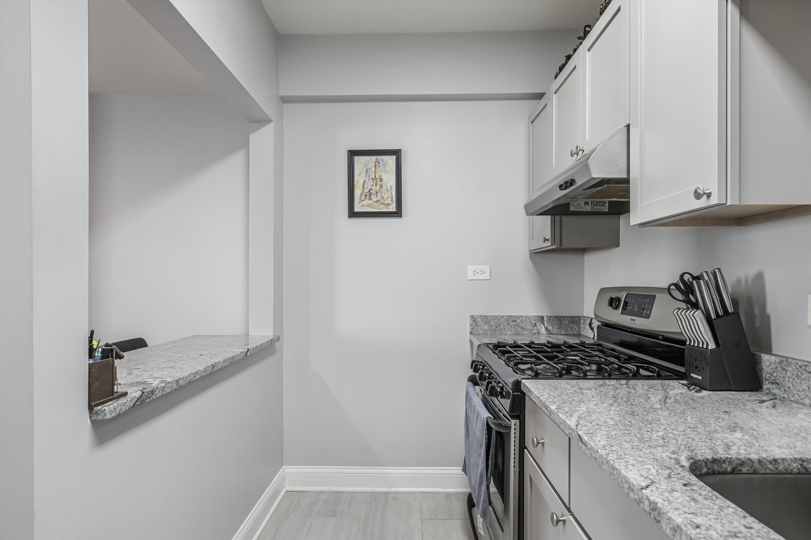5481 North Northwest Highway Chicago, IL 60630 - Photo 23 of 60 a kitchen with granite countertop a sink a stove and cabinets