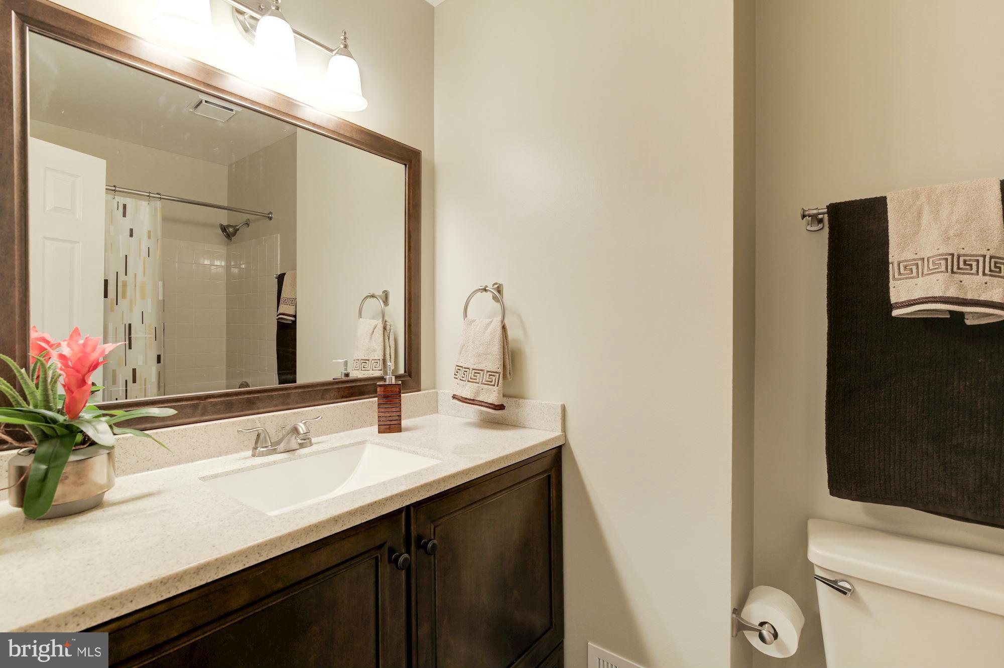 8112 Squirrel Run Road Springfield, VA 22152 - Photo 19 of 30 Updated Hall Bath