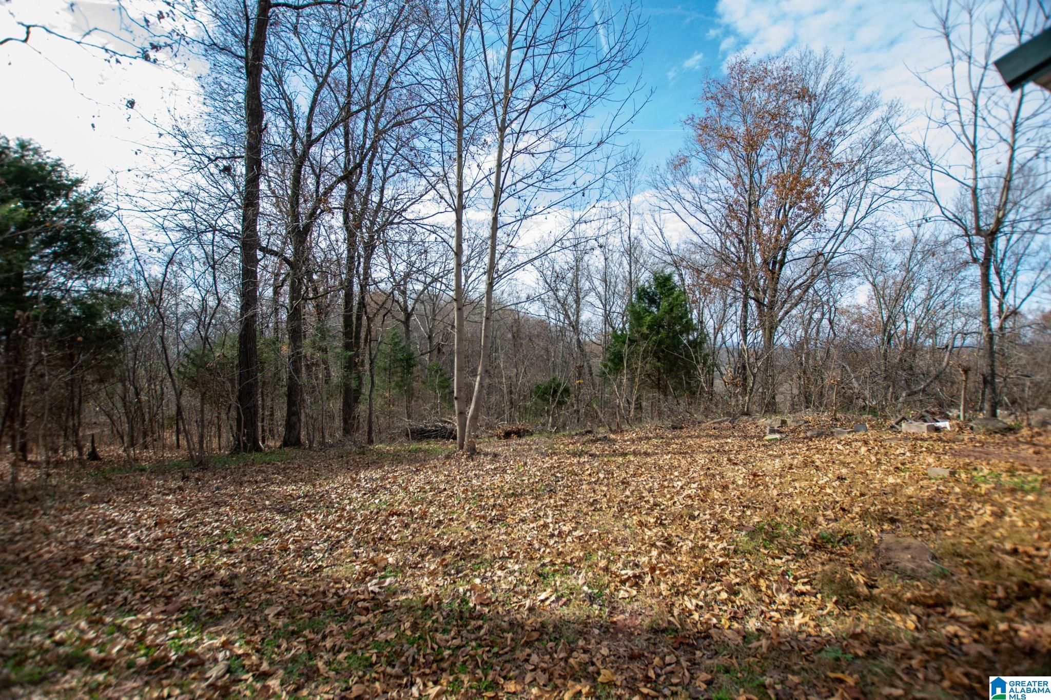 543 Young Road Remlap, AL 35133 - Photo 31 of 46