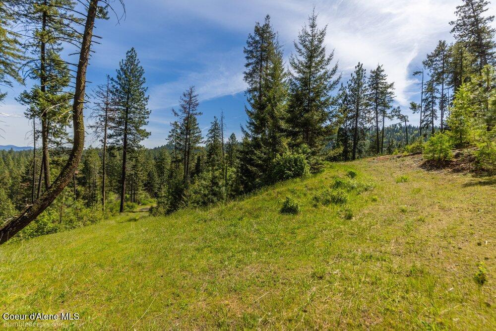 821 South Star Garnet Road Coeur D'Alene, ID 83814 - Photo 4 of 50 004_bb193603-4_255