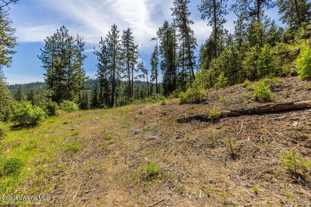 821 South Star Garnet Road Coeur D'Alene, ID 83814 - Photo 5 of 50 005_bb193603-5_676