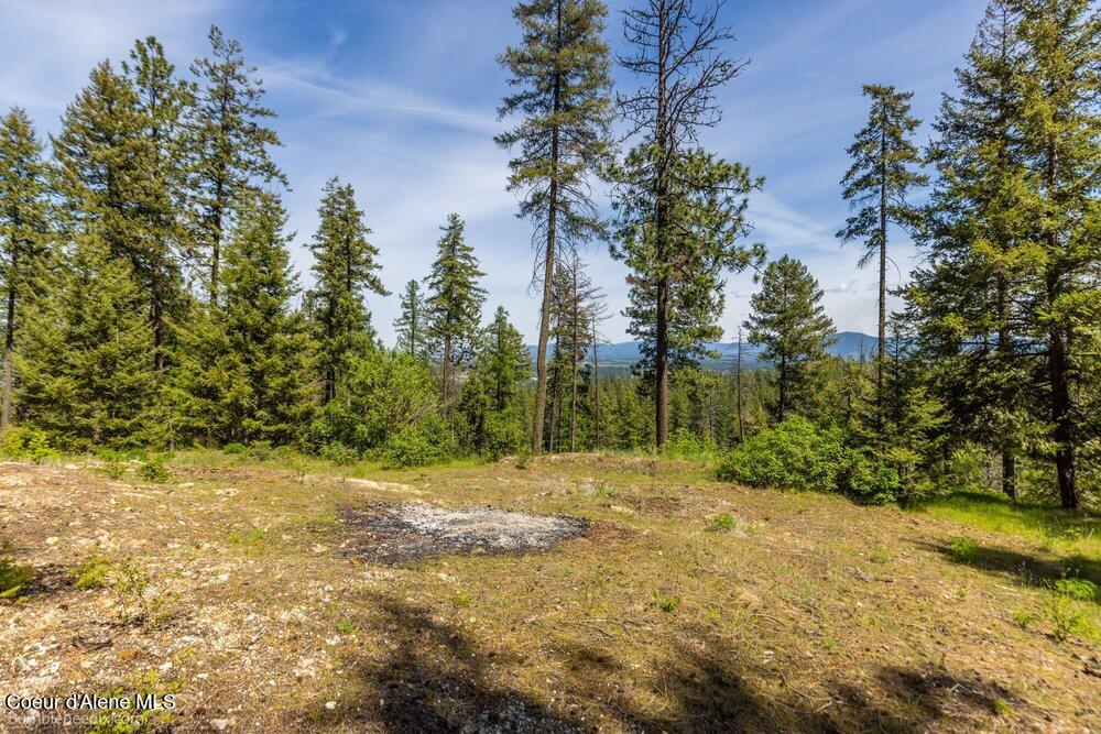 821 South Star Garnet Road Coeur D'Alene, ID 83814 - Photo 6 of 50 006_bb193603-6_973