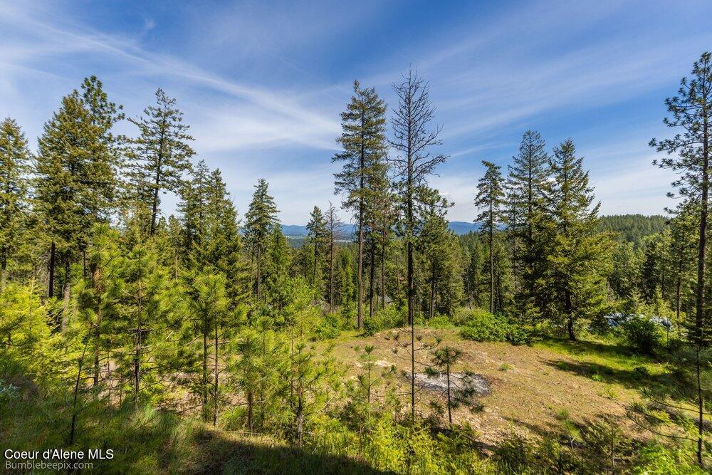 821 South Star Garnet Road Coeur D'Alene, ID 83814 - Photo 7 of 50 007_bb193603-7_741