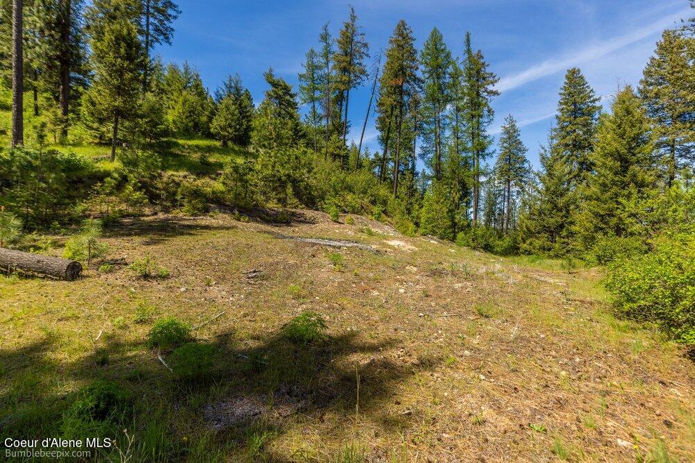 821 South Star Garnet Road Coeur D'Alene, ID 83814 - Photo 8 of 50 008_bb193603-8_807