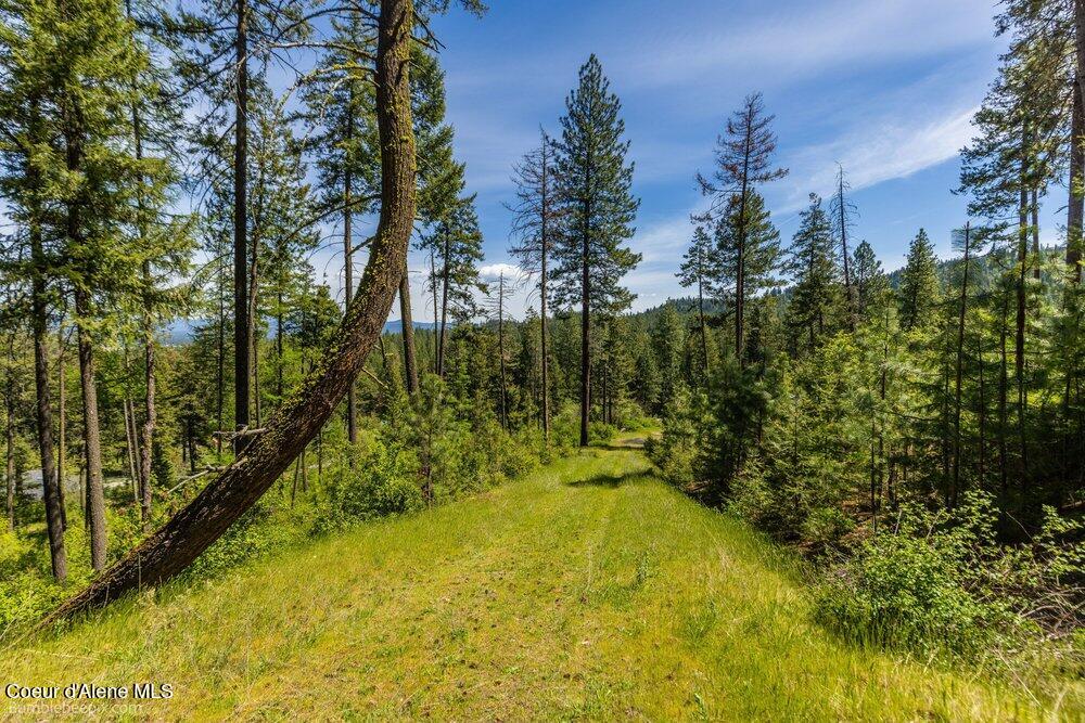 821 South Star Garnet Road Coeur D'Alene, ID 83814 - Photo 9 of 50 009_bb193603-9_970