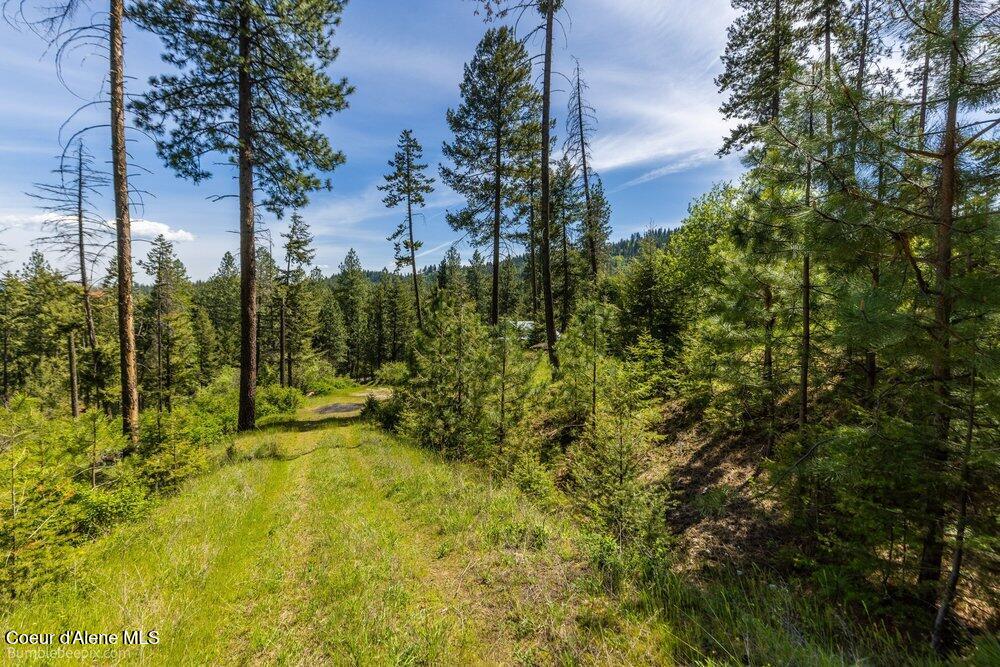 821 South Star Garnet Road Coeur D'Alene, ID 83814 - Photo 10 of 50 010_bb193603-10_339