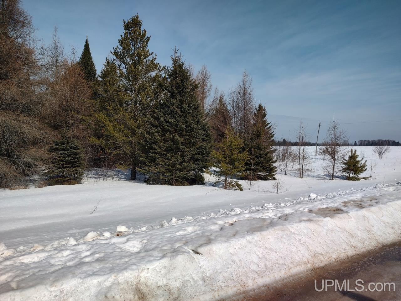 E 80-acres River Road Gulliver, MI 49840 - Photo 1 of 20