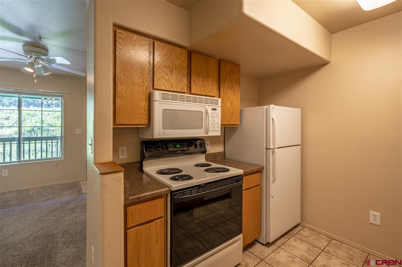 1100 Goeglein Gulch Road, Unit 172 Durango, CO 81301 - Photo 3 of 25